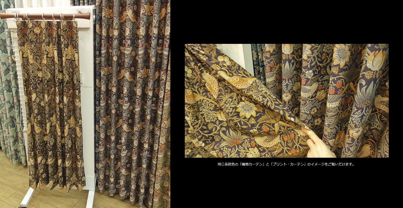 イチゴドロボウ,サンプル