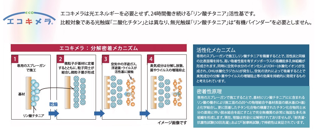 エコキメラ とは