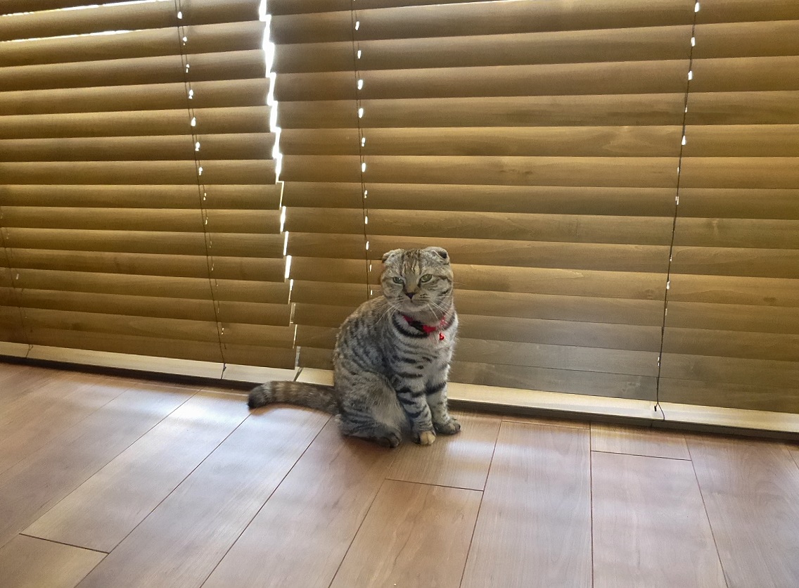 チーク　ウッドブラインド
