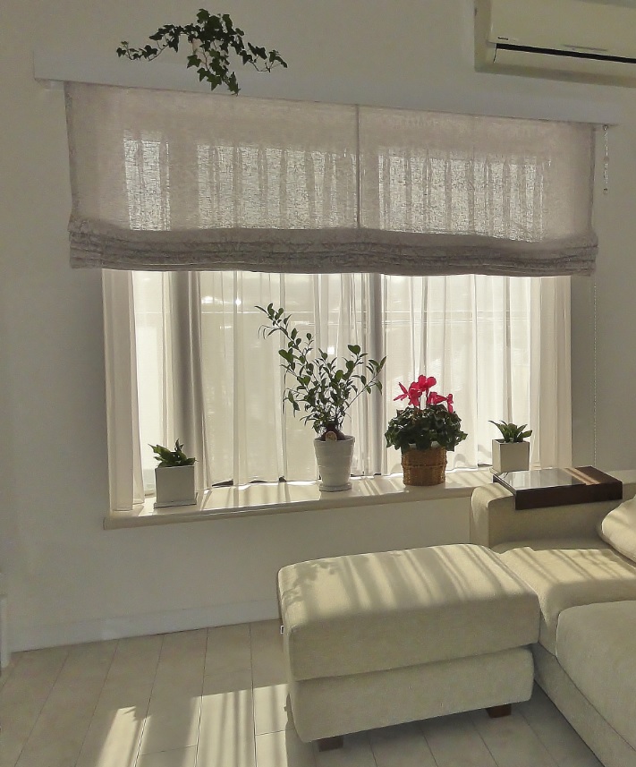 ピュアモリス いちご泥棒 ローマンシェード