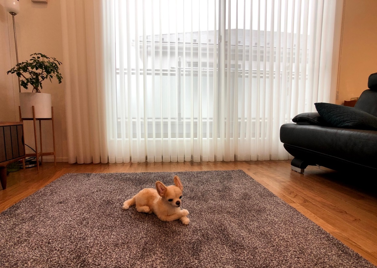 ３倍ヒダ　レース