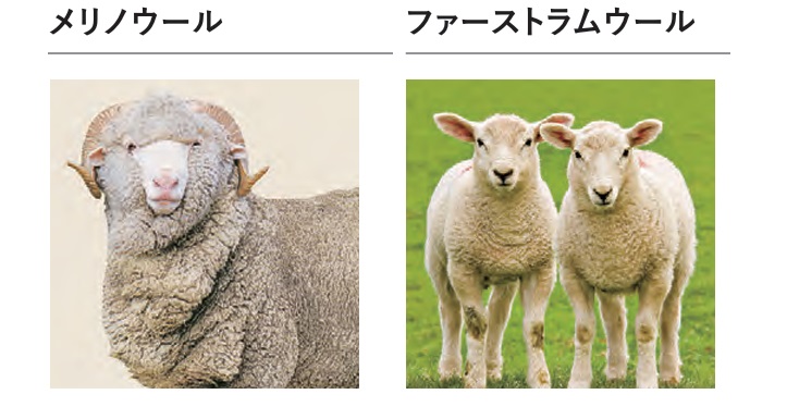ファーストラム イメージ