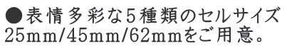 5種類のセルタイプ