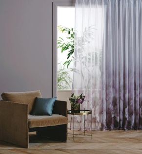 マイア マナトレーディング レース イメージ