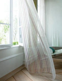 リリア マナトレーディング レース イメージ