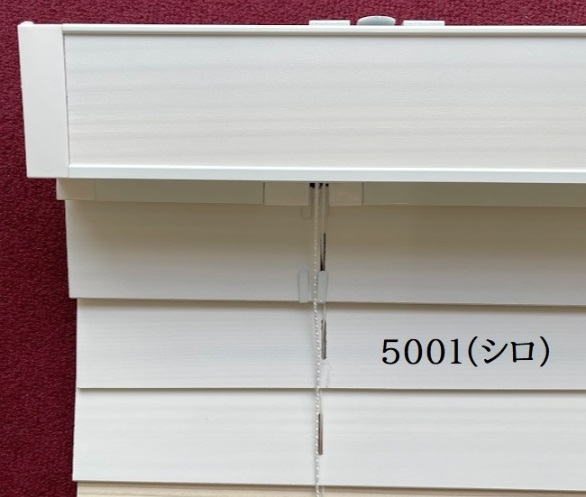 スギシリーズ　5001 シロ　スラットカラー　イメージ
