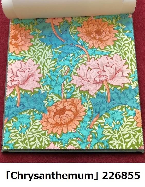 Chrysanthemum 226855
