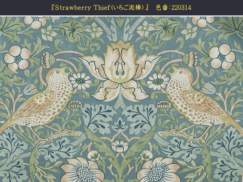 STRAWBERRY　THIEF　220314　イメージ
